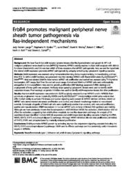thumnail for 12964_2019_Article_388.pdf