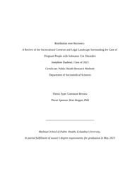 thumnail for Daaboul_Thesis_submission.docx