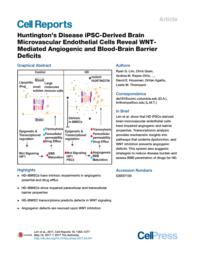 thumnail for Huntington's Disease iPSC-Derived Brain Microvascular Endothelial Cells Reveal WNT-Mediated Angiogenic and Blood-Brain Barrier Deficits.pdf