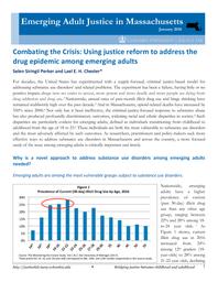 thumnail for Combating the Crisis.pdf