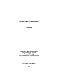 thumnail for Sousa_columbia_0054D_15335.pdf