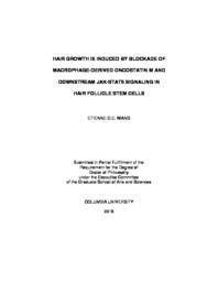 thumnail for Wang_columbia_0054D_14476.pdf