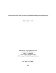 thumnail for Rabinovich_columbia_0054D_17084.pdf