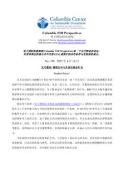 thumnail for No 329 - Pursey - FINAL - CHINESE version.pdf