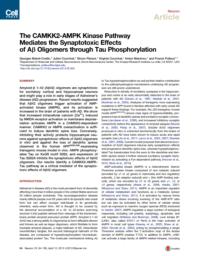 thumnail for Mairet-Coello_Neuron2013_S.pdf