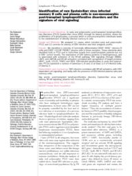 thumnail for Shaknovich R et al Hematologica 2006.pdf
