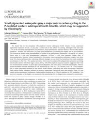 thumnail for lno.11193.pdf