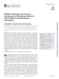 thumnail for Mol Cell Biol 2017 Bartolomé.pdf