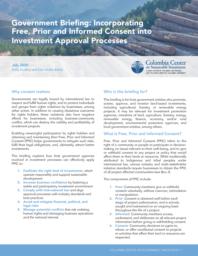 thumnail for Briefing-FPIC-and-investment-approval-July-2020.pdf