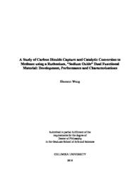 thumnail for Wang_columbia_0054D_14553.pdf