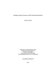 thumnail for AlZain_columbia_0054D_16913.pdf
