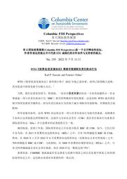 thumnail for No 335 - Sauvant and Ortino - FINAL - CHINESE version.pdf
