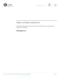 thumnail for elife-26016-figures-v3.pdf