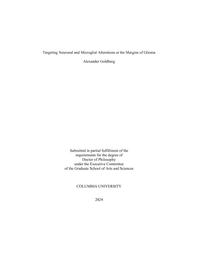 thumnail for Goldberg_columbia_0054D_18298.pdf