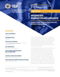 thumnail for case-study-indonesia-downstream-linkages.pdf