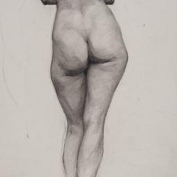 [Nude Study, Standing, Back...