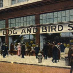 London Dog and Bird Shop. T...