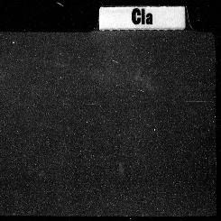 Carnegie Index Cards, Activ...