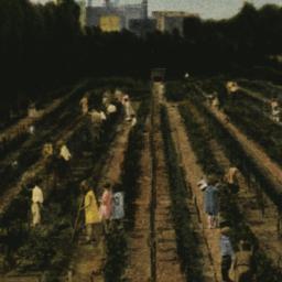 Brooklyn Botanic Garden, Ch...