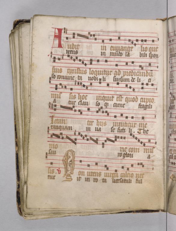page 19v