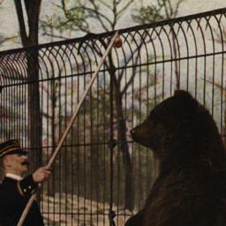 Kadiak Bear. New York Zoolo...
