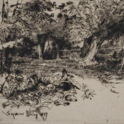 The Willows