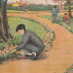 Cao hua hu ai