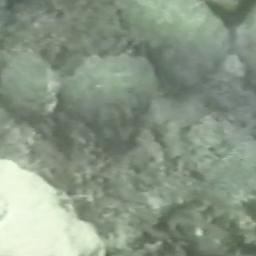 Marine Ecosystems and Resou...