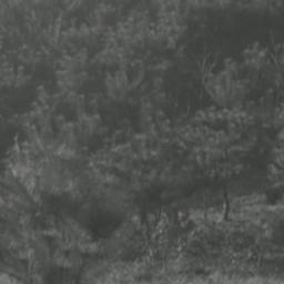 Korean landscape footage