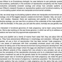 Minutes, 2015-11-16. Integr...