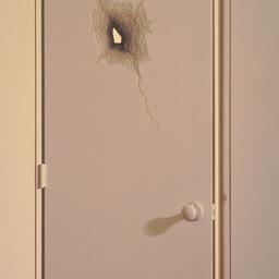 Model of door with hole.