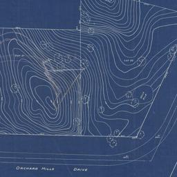 Plot plan topographical survey