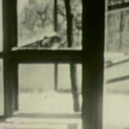 Frank Lloyd Wright at Falli...