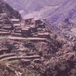 Aerial view, terraces in mo...