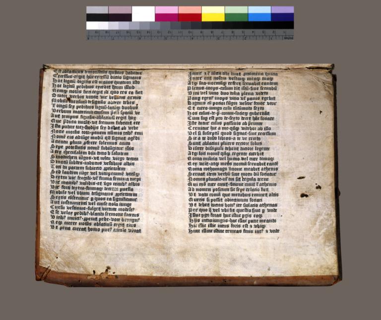 Folios 21-22