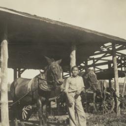 Dan Buckheart with His Mule...