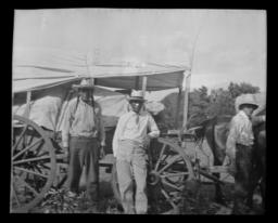 Wautan and William Fletcher with a Horse Drawn Wagon, Colony, Oklahoma