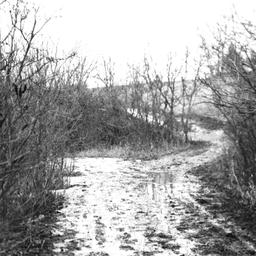 Muddy Road, Rosebud Reserva...