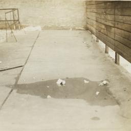 Sewers, Sewage and Toilets