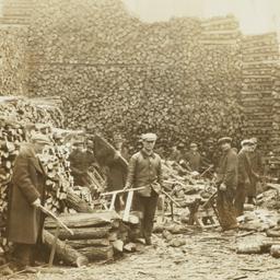 Men Working in Woodyard