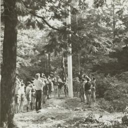 Boys Hanging Flag in the Woods