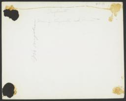 verso