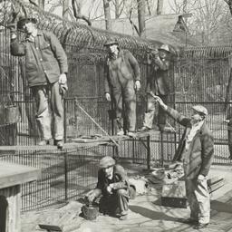 Men Painting Fence at New Y...