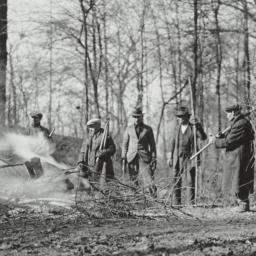 Men Creating Clearing in Woods