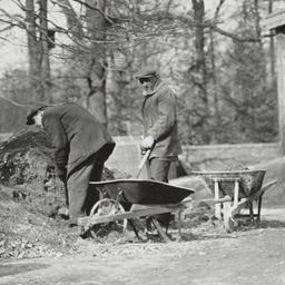 Men Shoveling Dirt