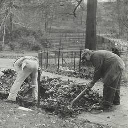 Men Digging near Sidewalk