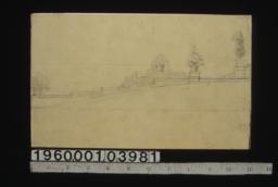 Side elevation of steps with potted plants