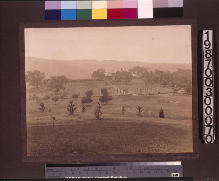 View of house and grounds from distance.