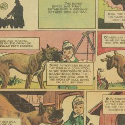 Clipping: n.d.