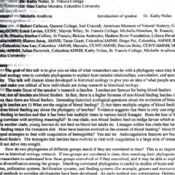 Minutes, 2000-03-06. Popula...
